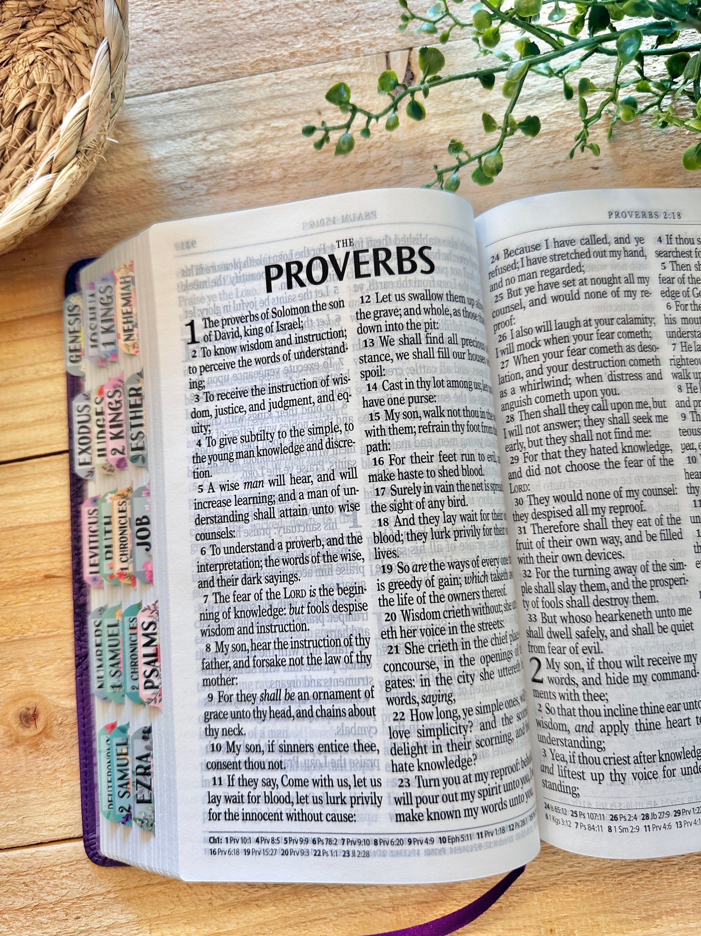 KJV Giant Print Purple