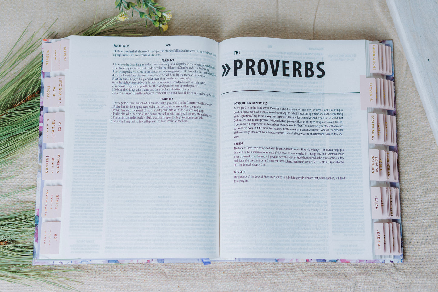 KJV 1-Minute Study Bible
