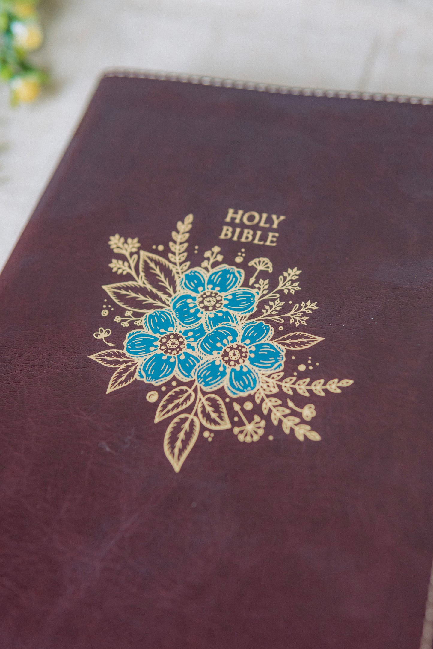 KJV Brown Giant Print Bible