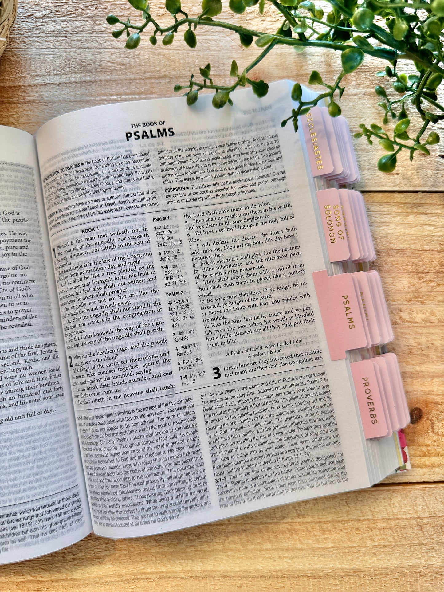 KJV Floral Compact Bible