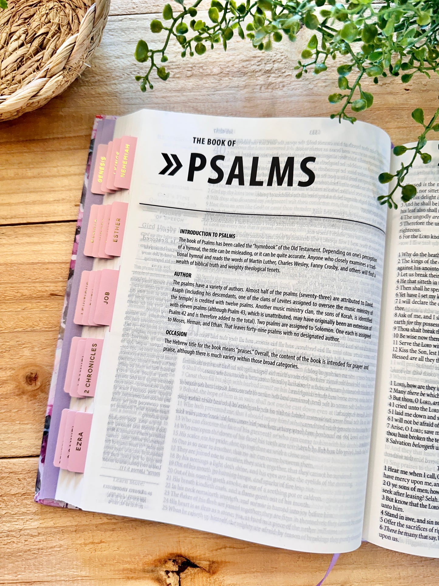 KJV 1-Minute Study Bible