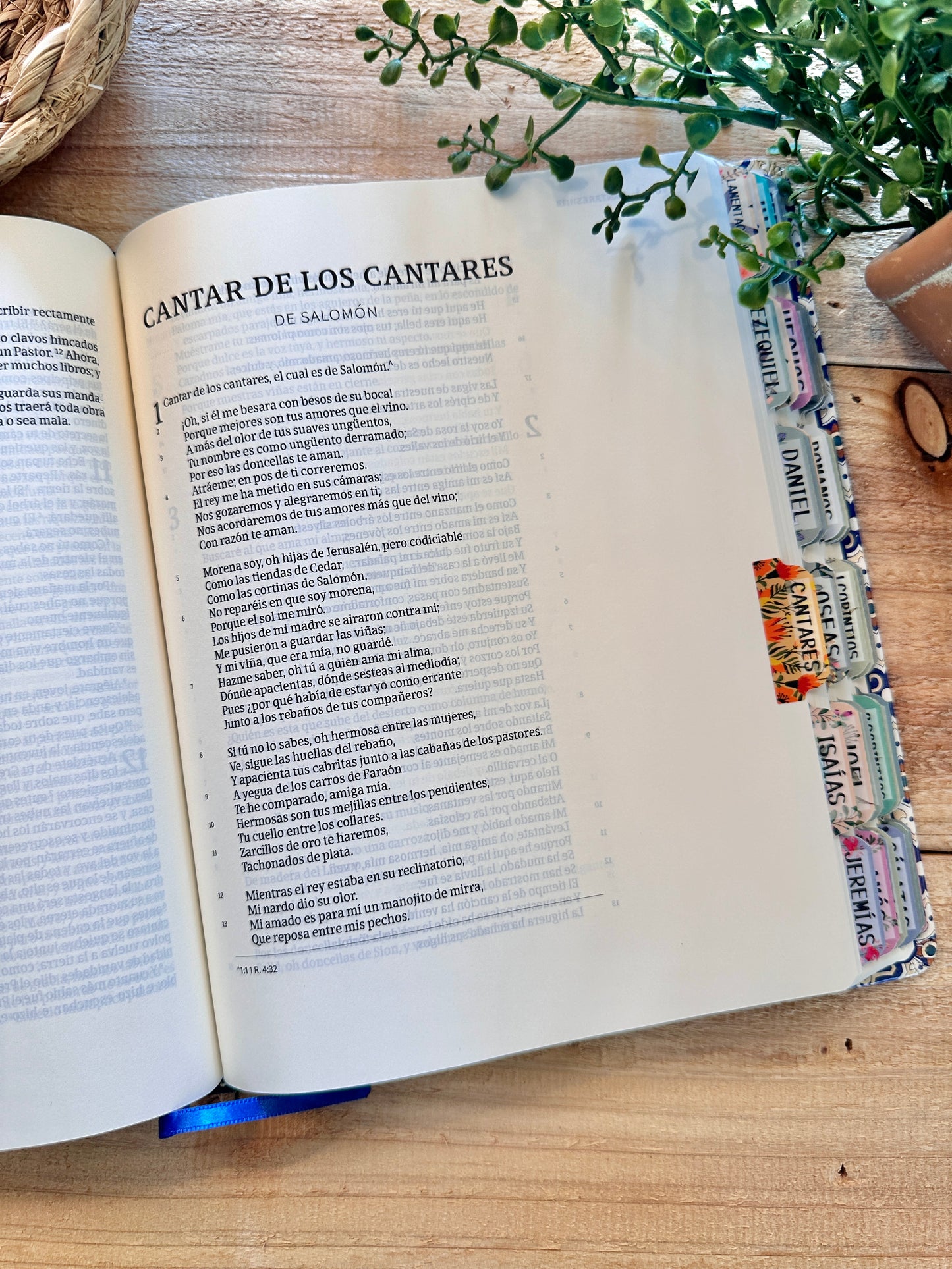 Spanish Large Print Bible