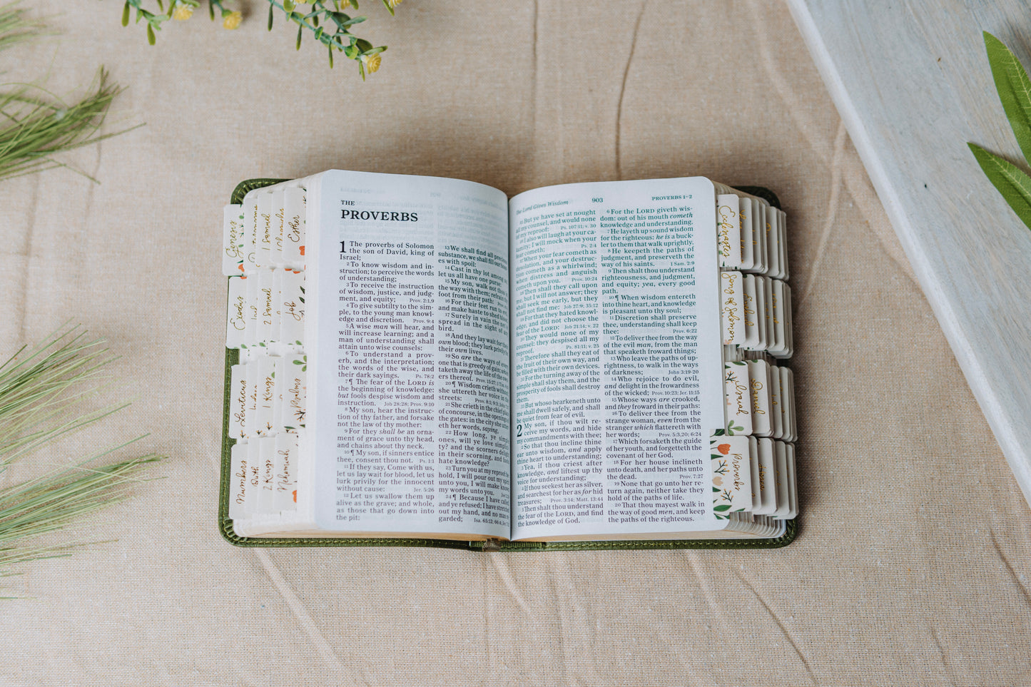 KJV Compact Olive Bible