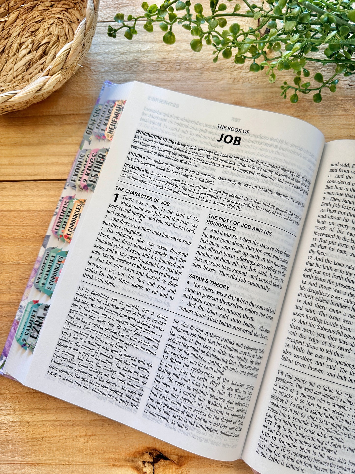 KJV Hummingbird Study Bible