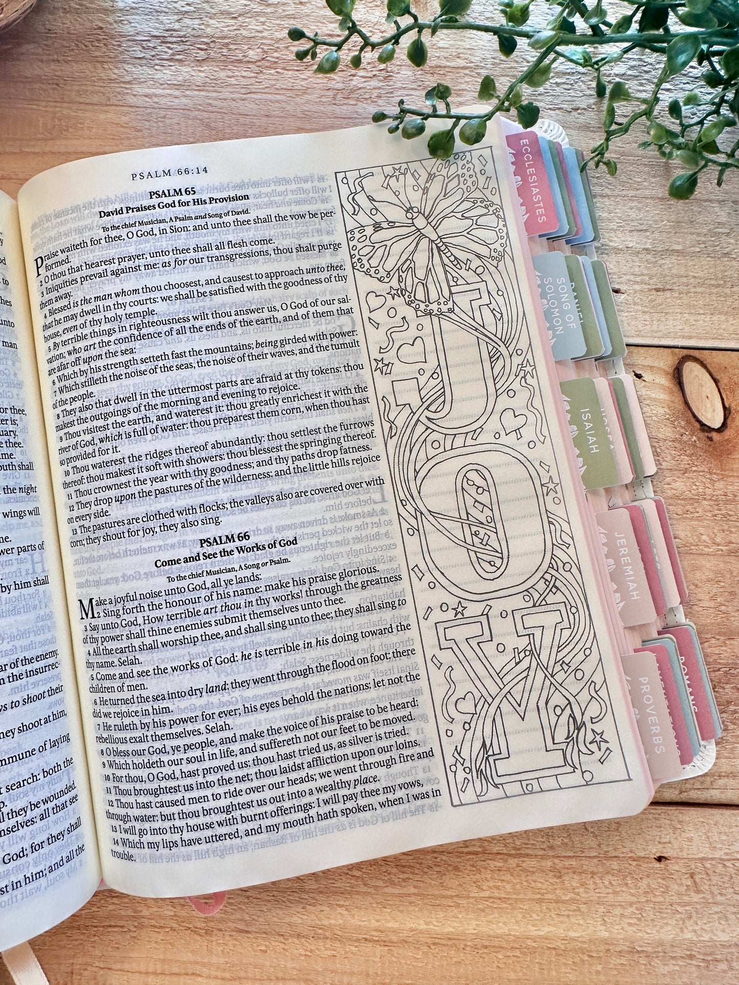 KJV Creative White Bible