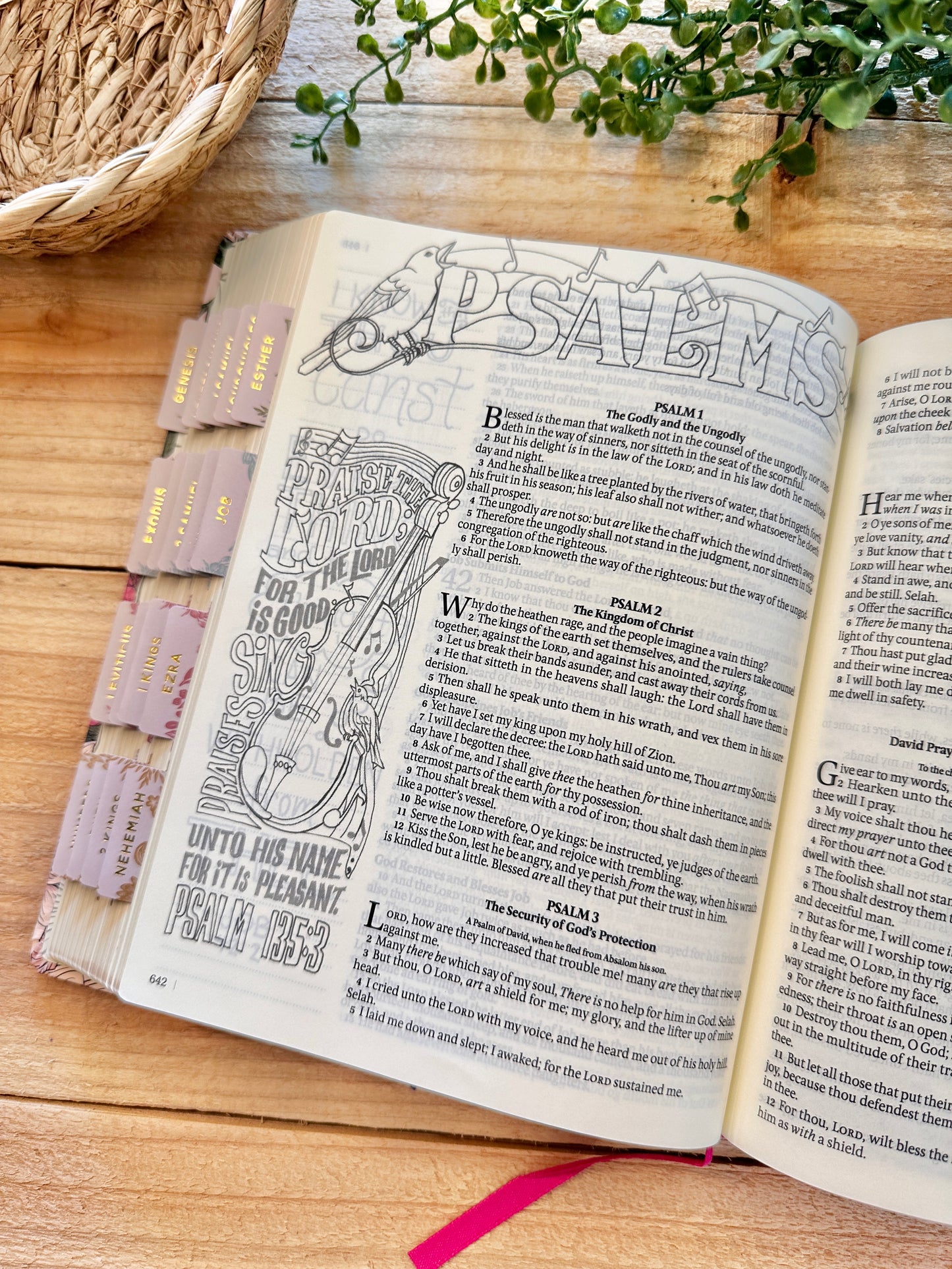KJV My Creative Bible-Floral