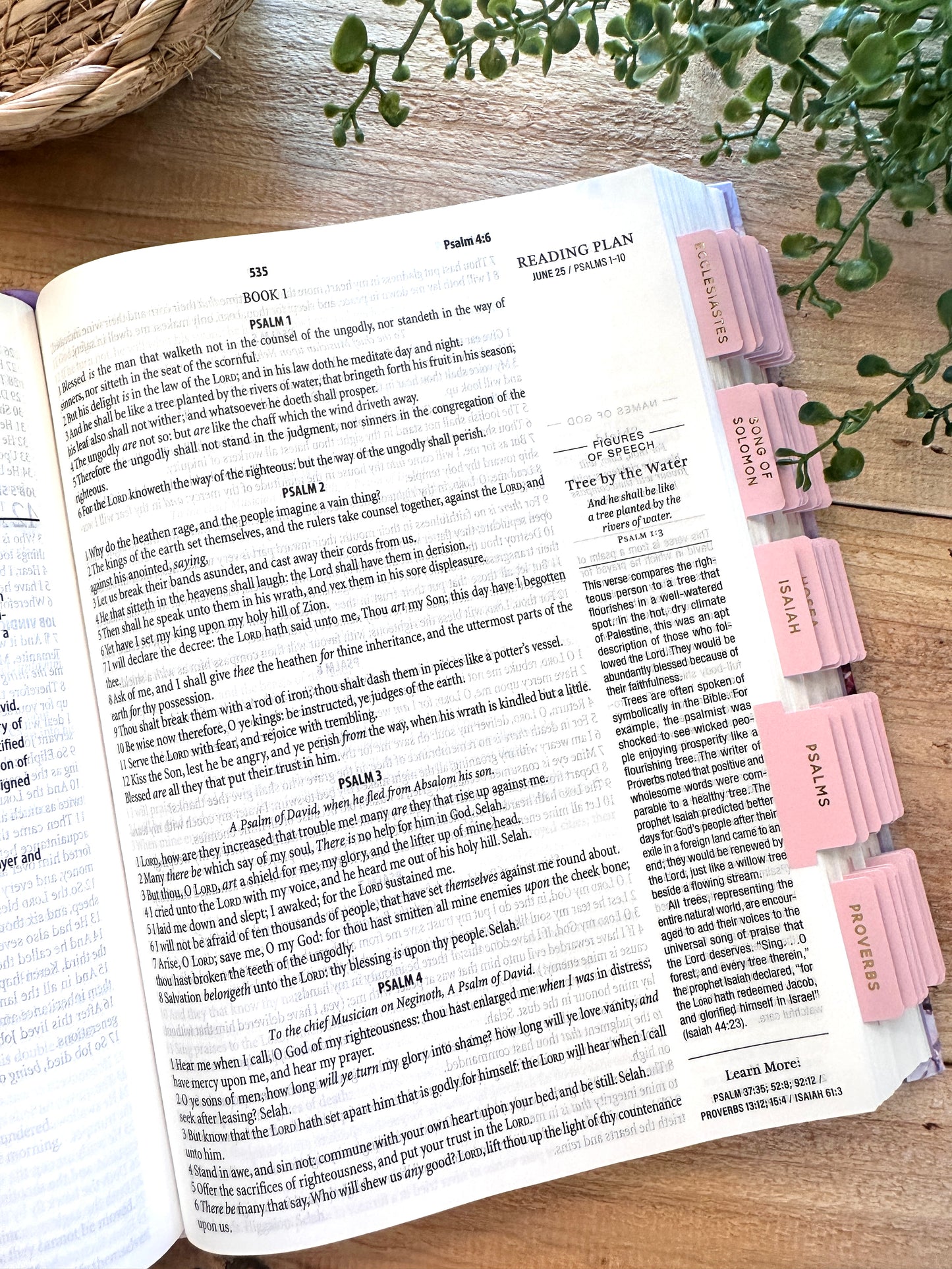 KJV 1-Minute Study Bible