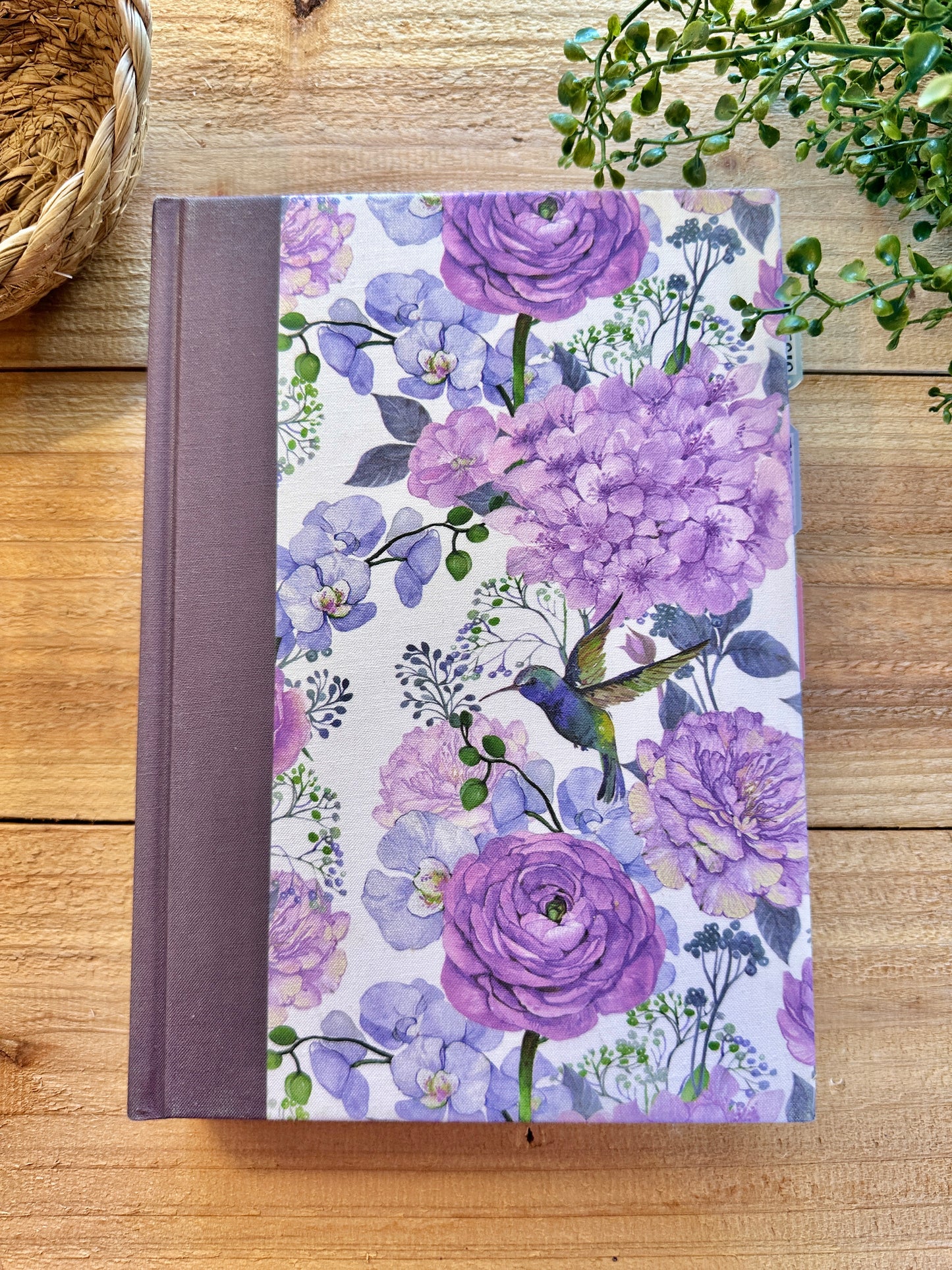 KJV Hummingbird Study Bible