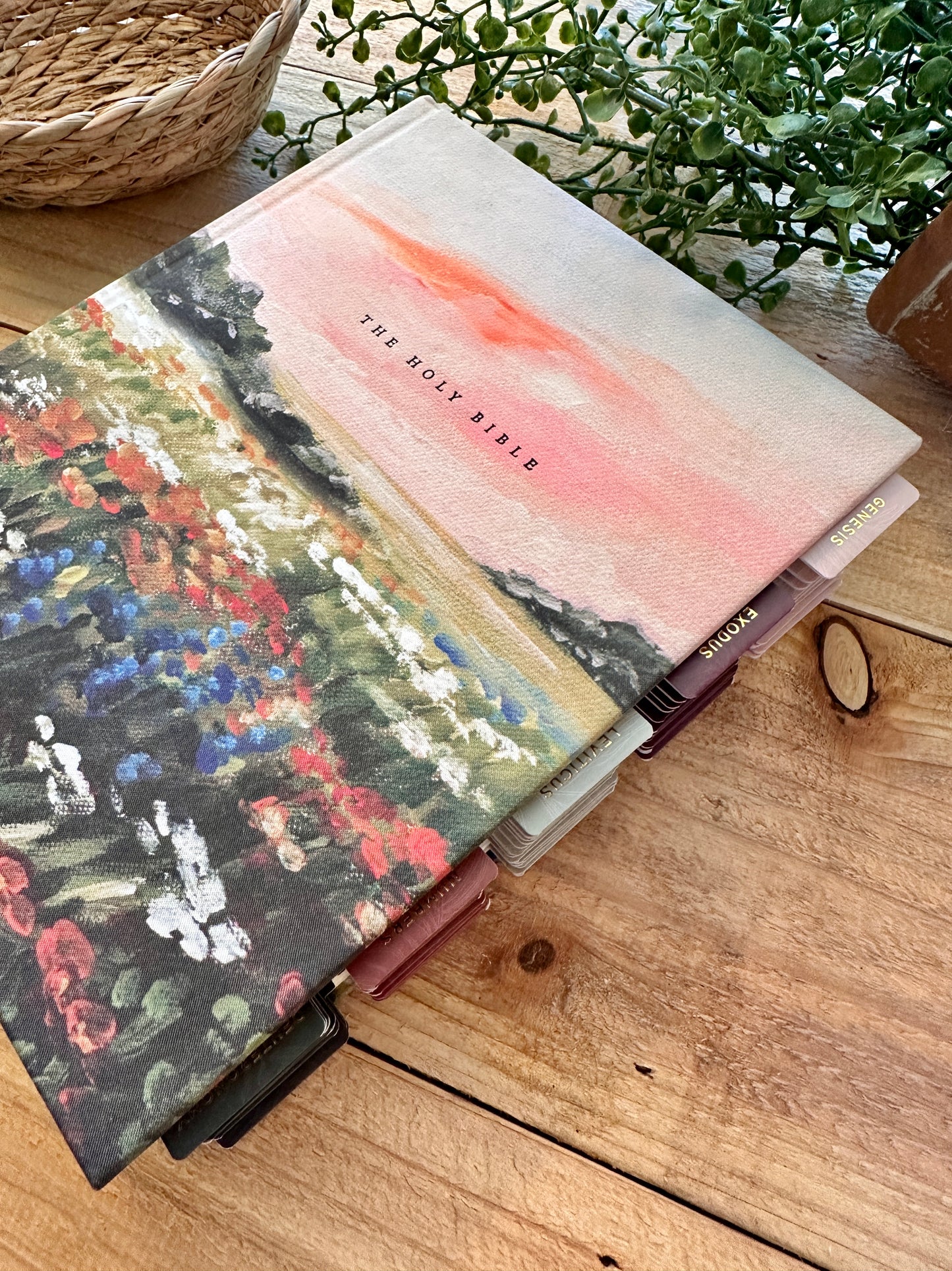 NLT Hosanna Journal Bible- Fields