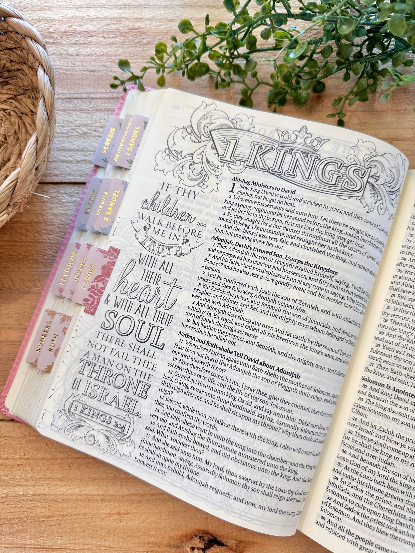 KJV Pink Promise Bible