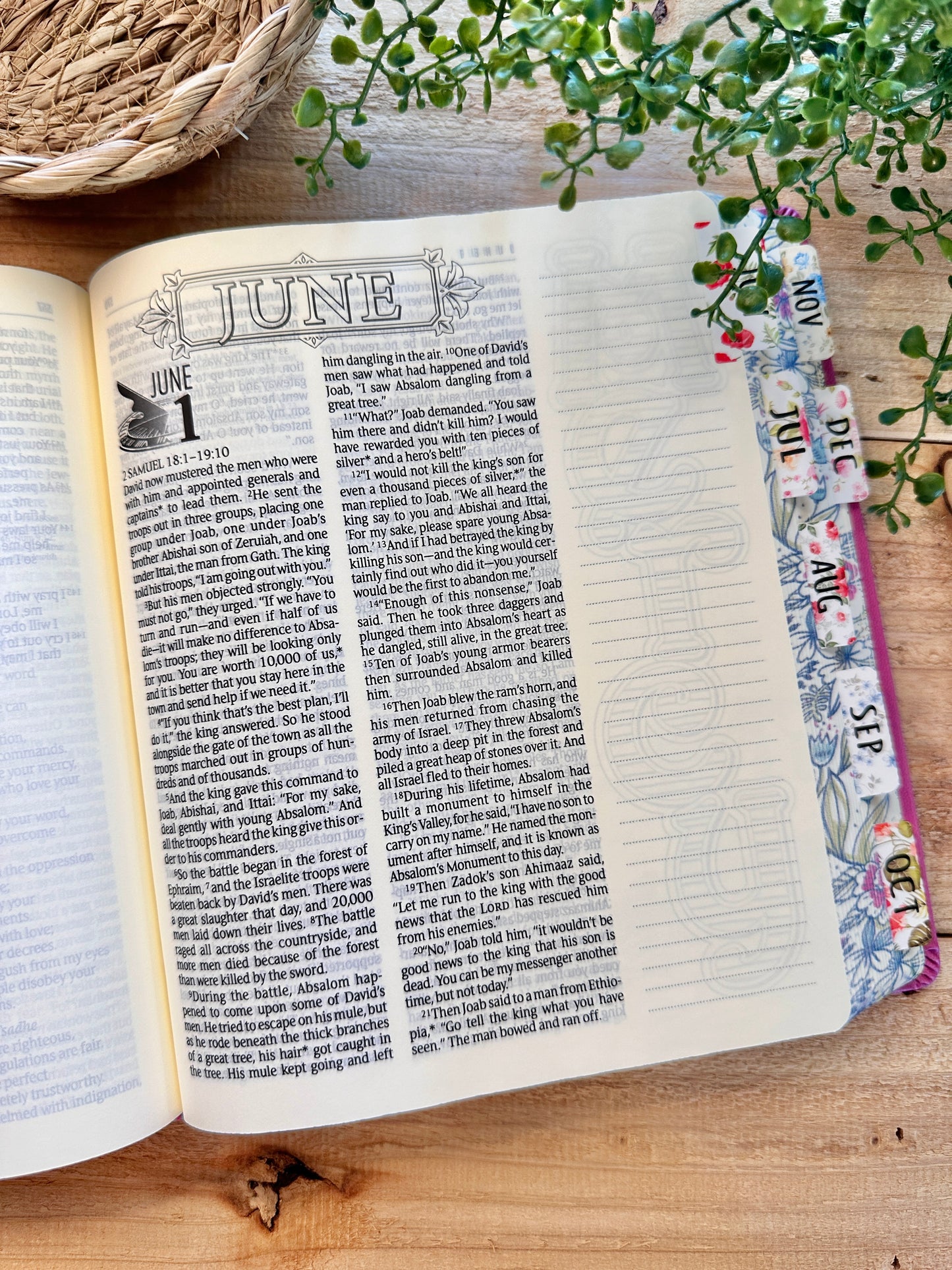 NLT One Year Bible-Blossom