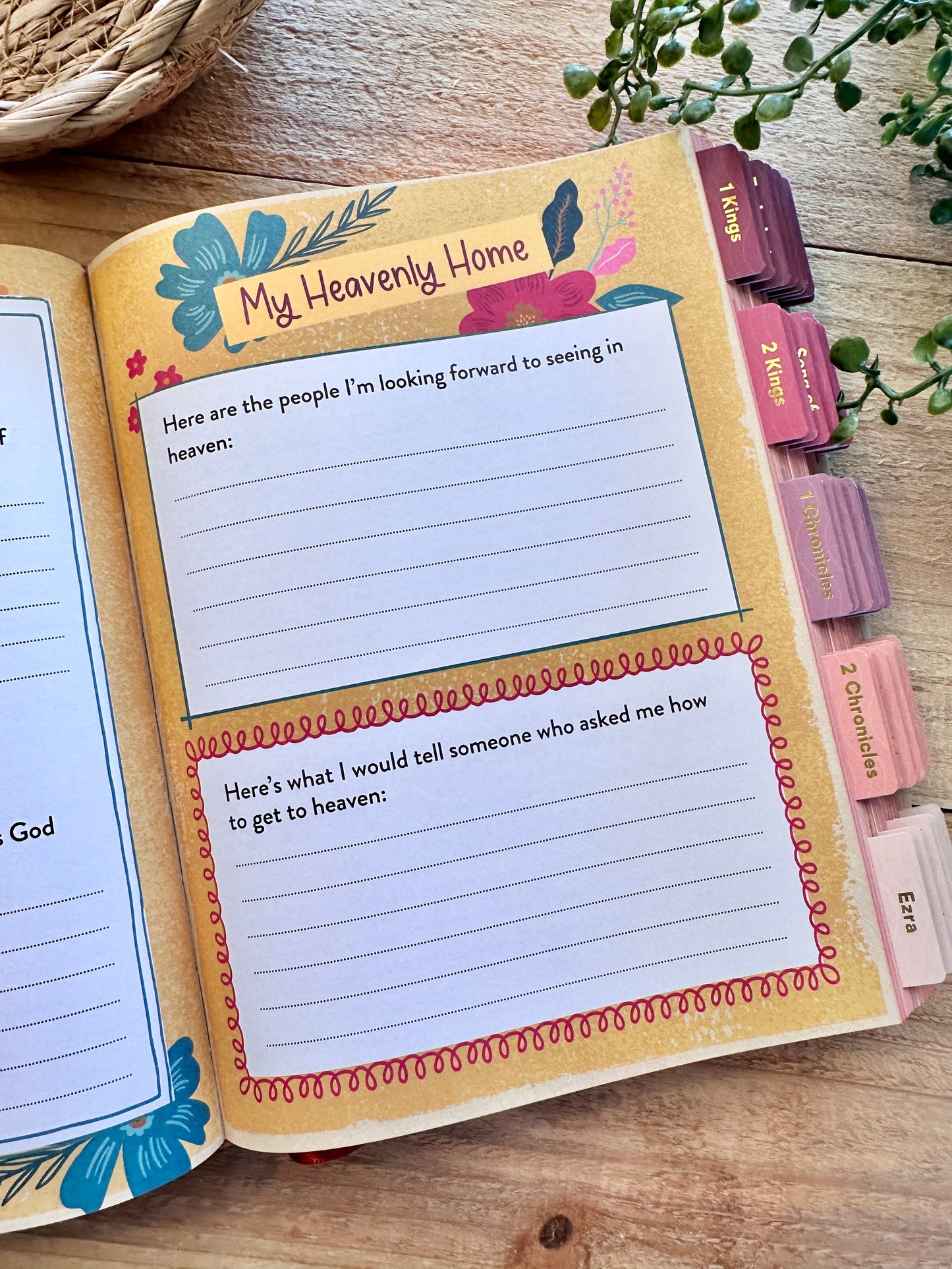 SKJV Simplified Young girls Bible-Giraffe