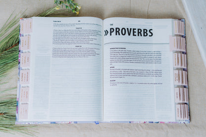 KJV 1-Minute Study Bible