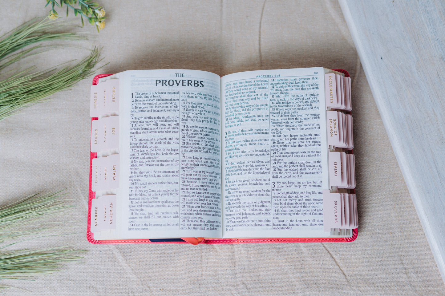 KJV Compact Pink Large Print