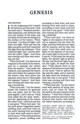 NASB Olive Large Print