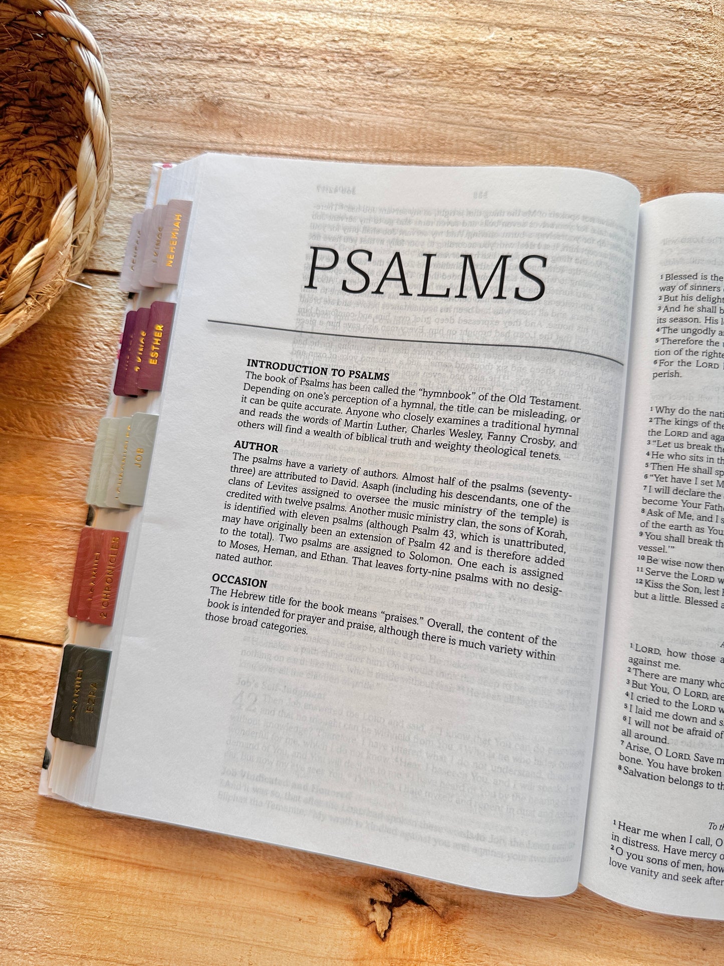 KJV Simplified Wildflower Bible