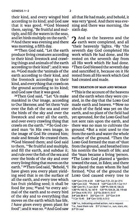 NASB Olive Large Print