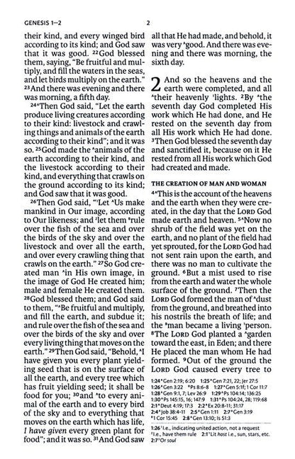 NASB Olive Large Print