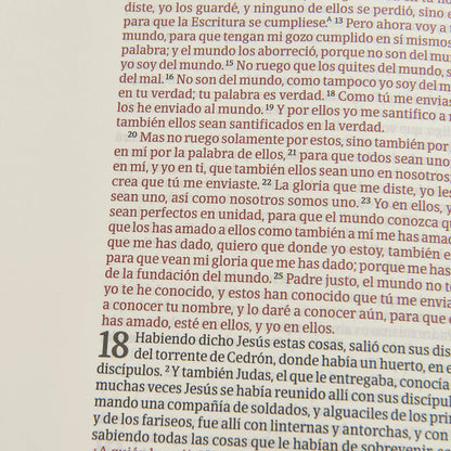 Spanish Large Print Bible