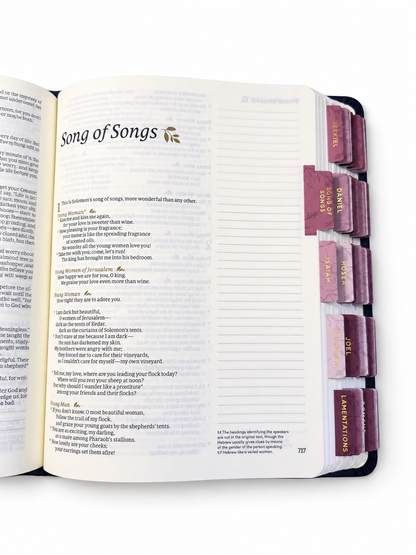 NLT Notetaking Bible: Versailles Theme