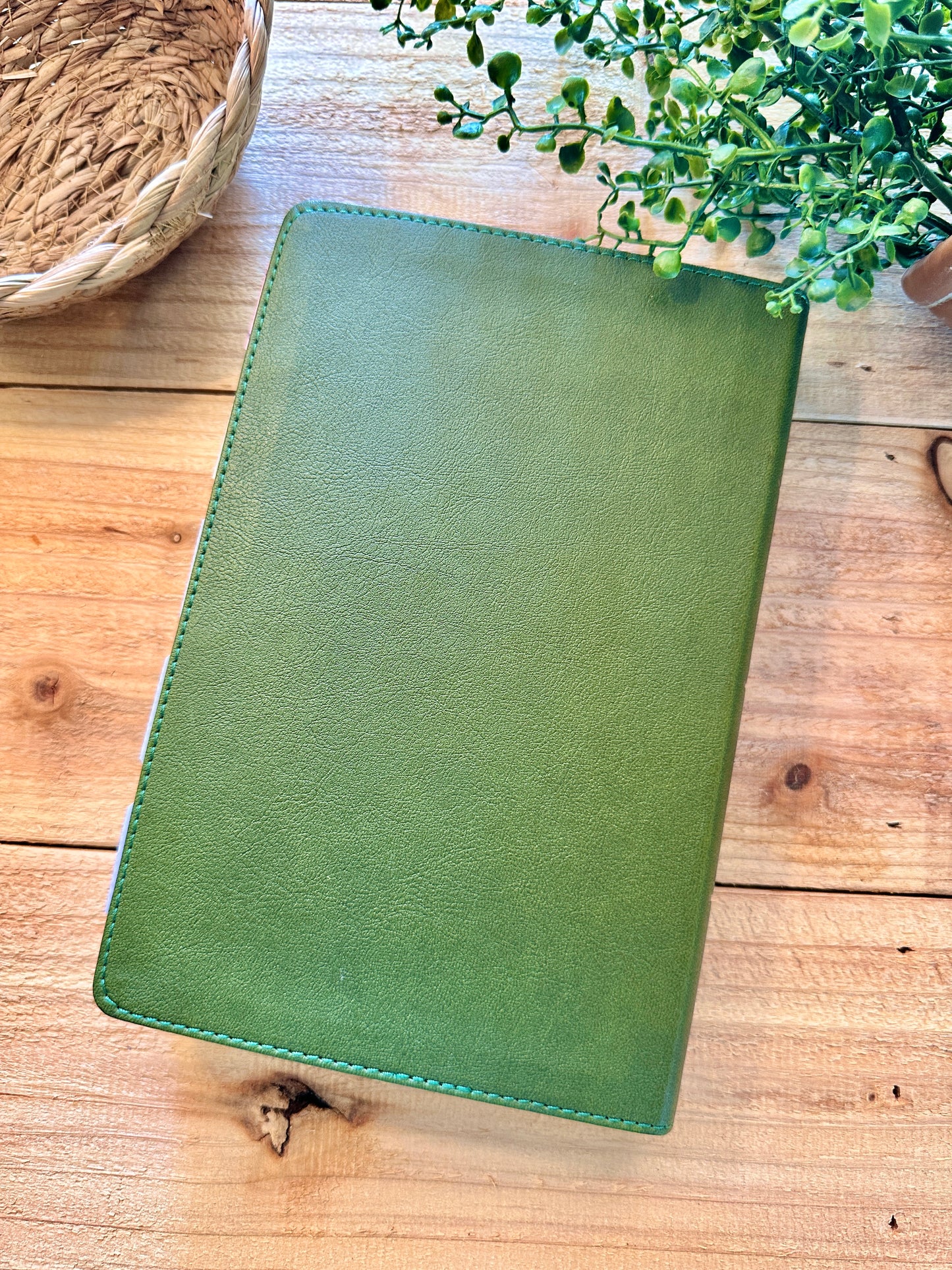 NASB Olive Large Print