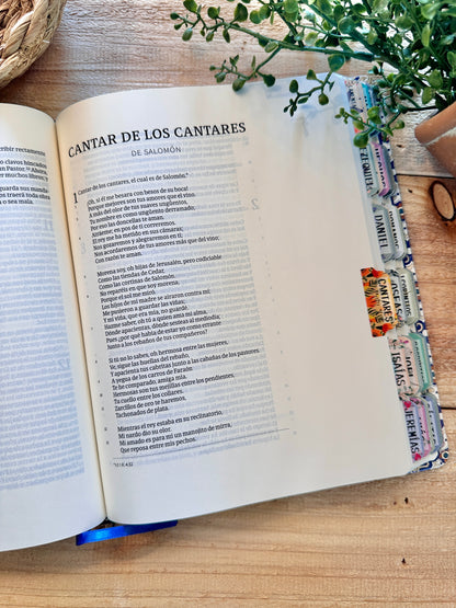 Spanish Large Print Bible