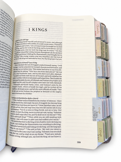 ESV Large Print Journaling Bible: NARA THEME