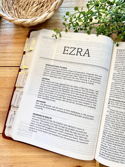 KJV Simplified Bible