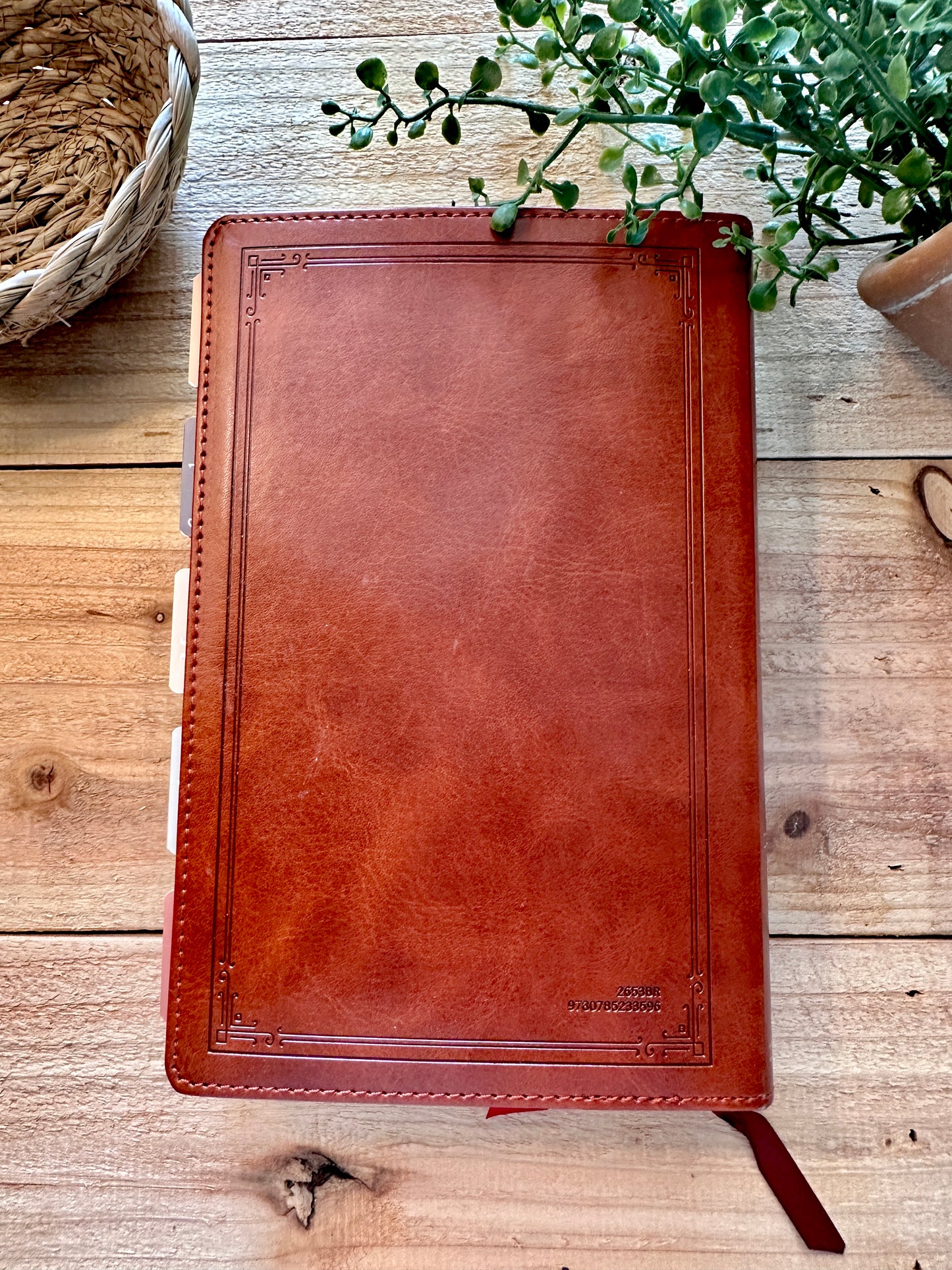 NKJV Brown Cross