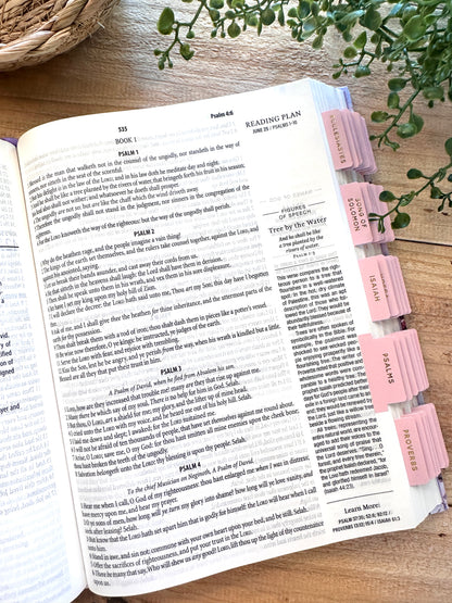 KJV 1-Minute Study Bible