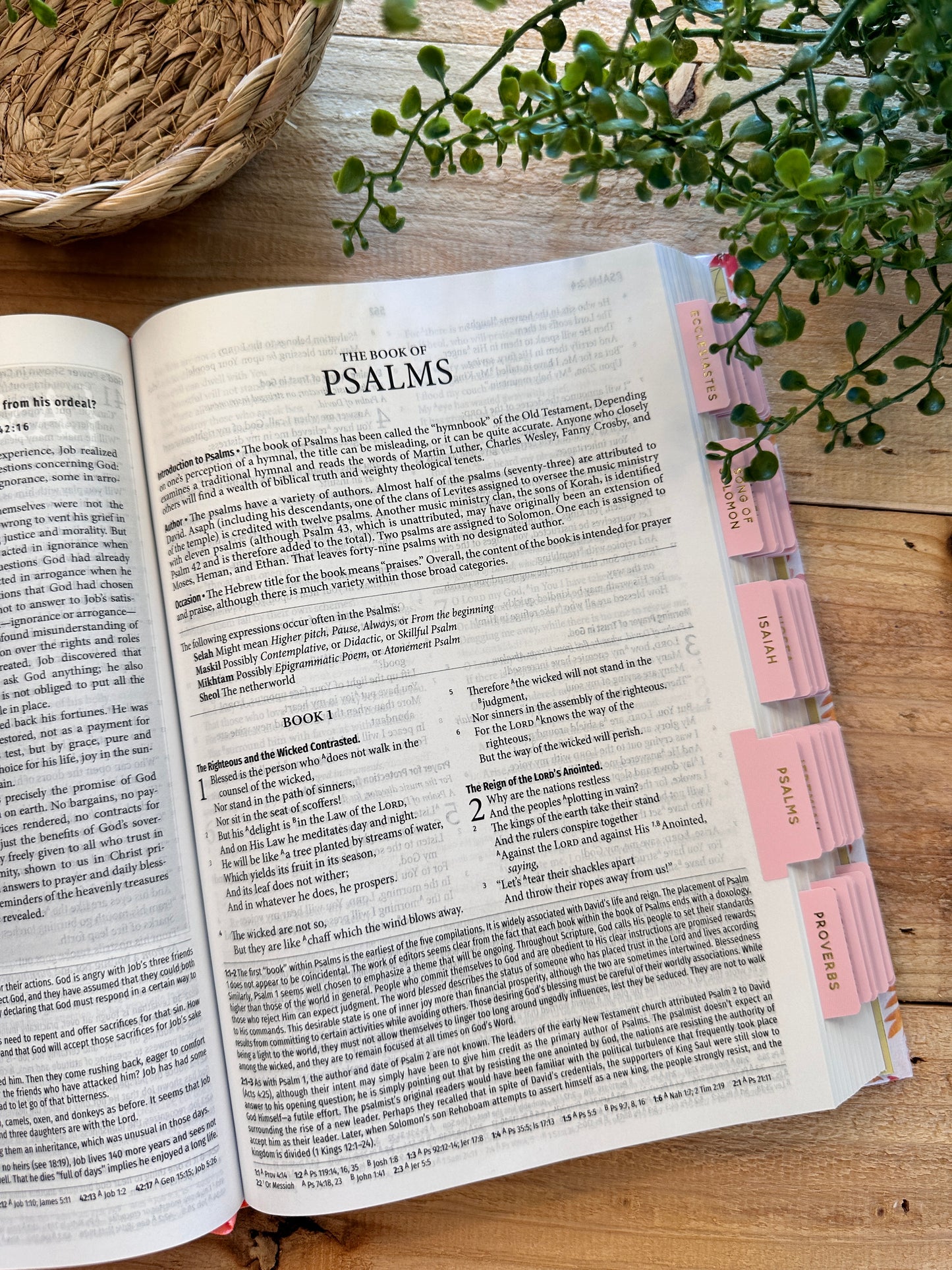 NASB Floral Bible