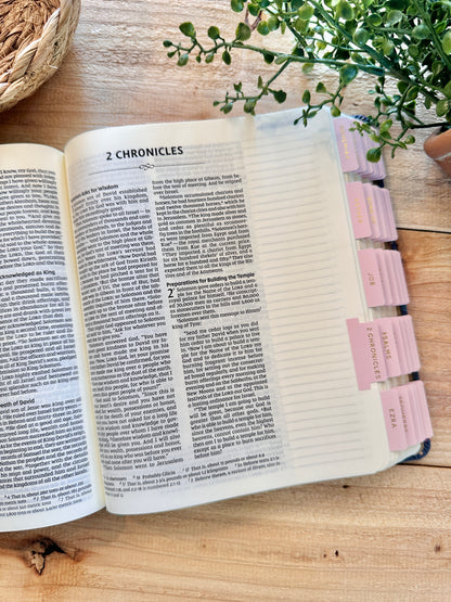 NIV Tiger Journal Bible