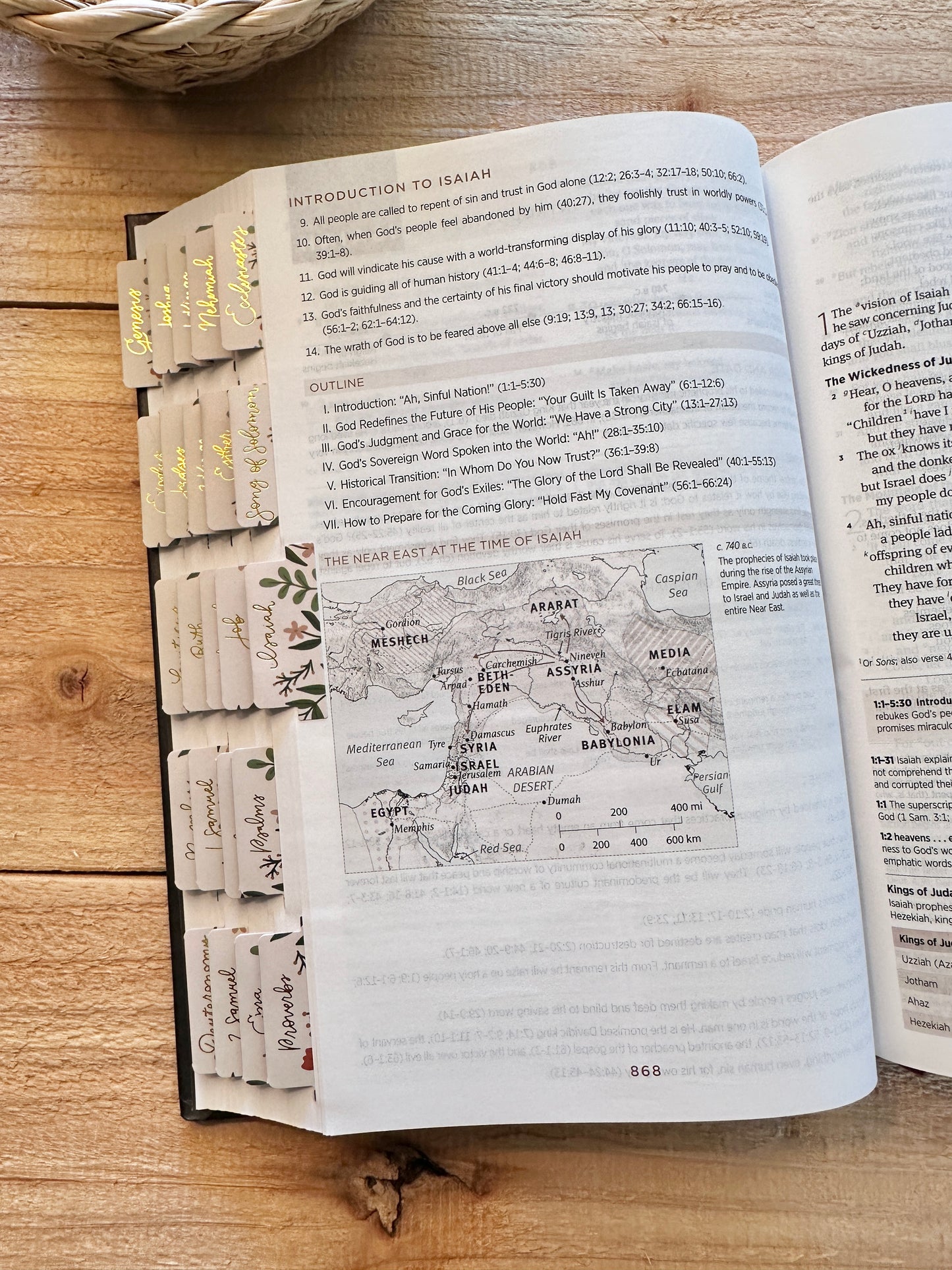 ESV Floral Study Bible