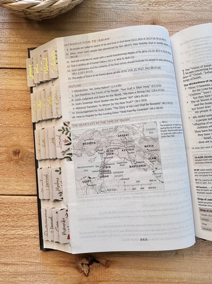 ESV Floral Study Bible