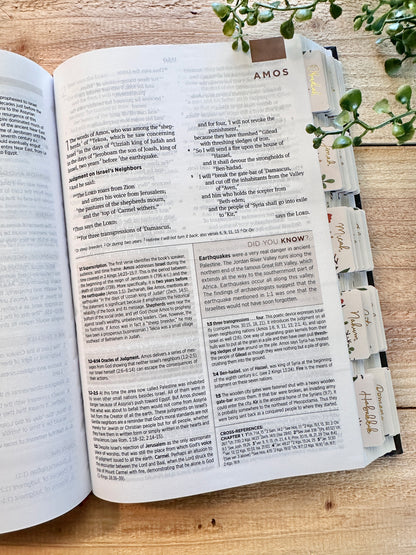 ESV Floral Study Bible
