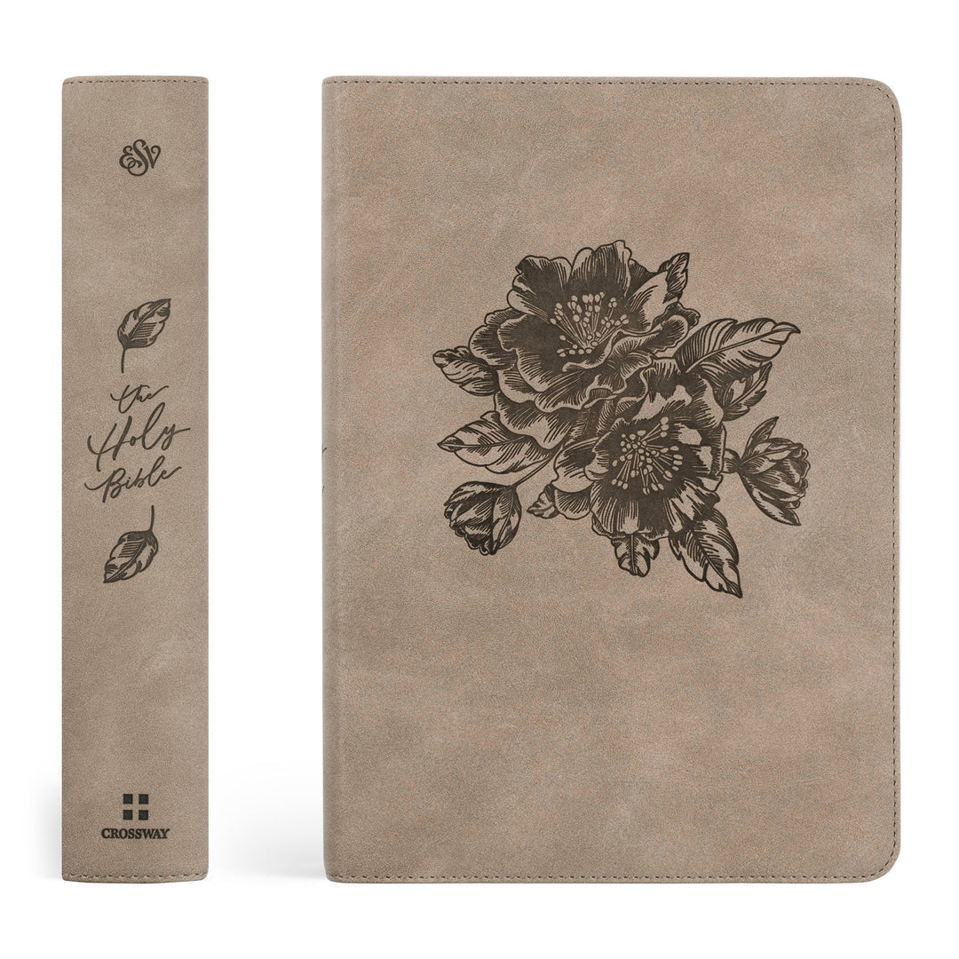 ESV Large Print Journaling Bible: NARA THEME