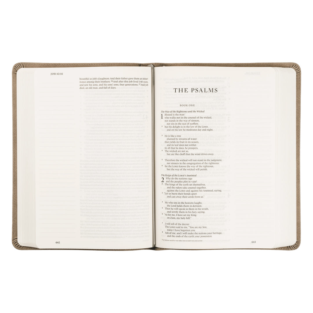 ESV Large Print Journaling Bible: NARA THEME