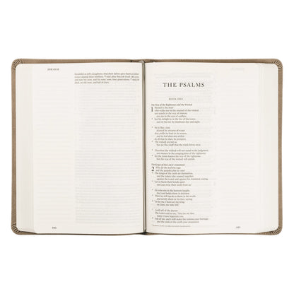 ESV Large Print Journaling Bible: NARA THEME