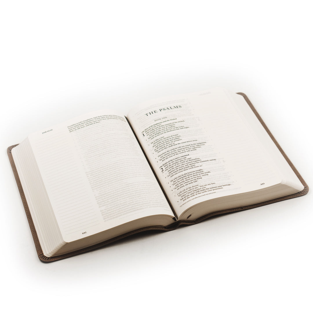 ESV Large Print Journaling Bible: NARA THEME