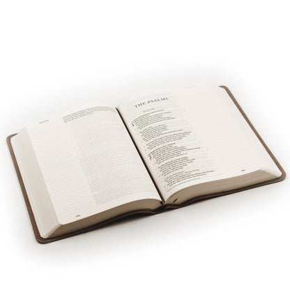 ESV Large Print Journaling Bible: NARA THEME