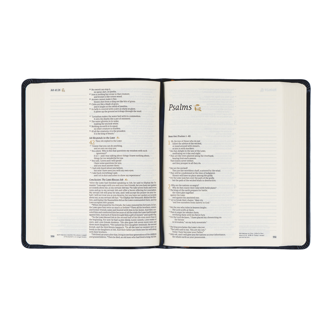 NLT Notetaking Bible: Versailles Theme