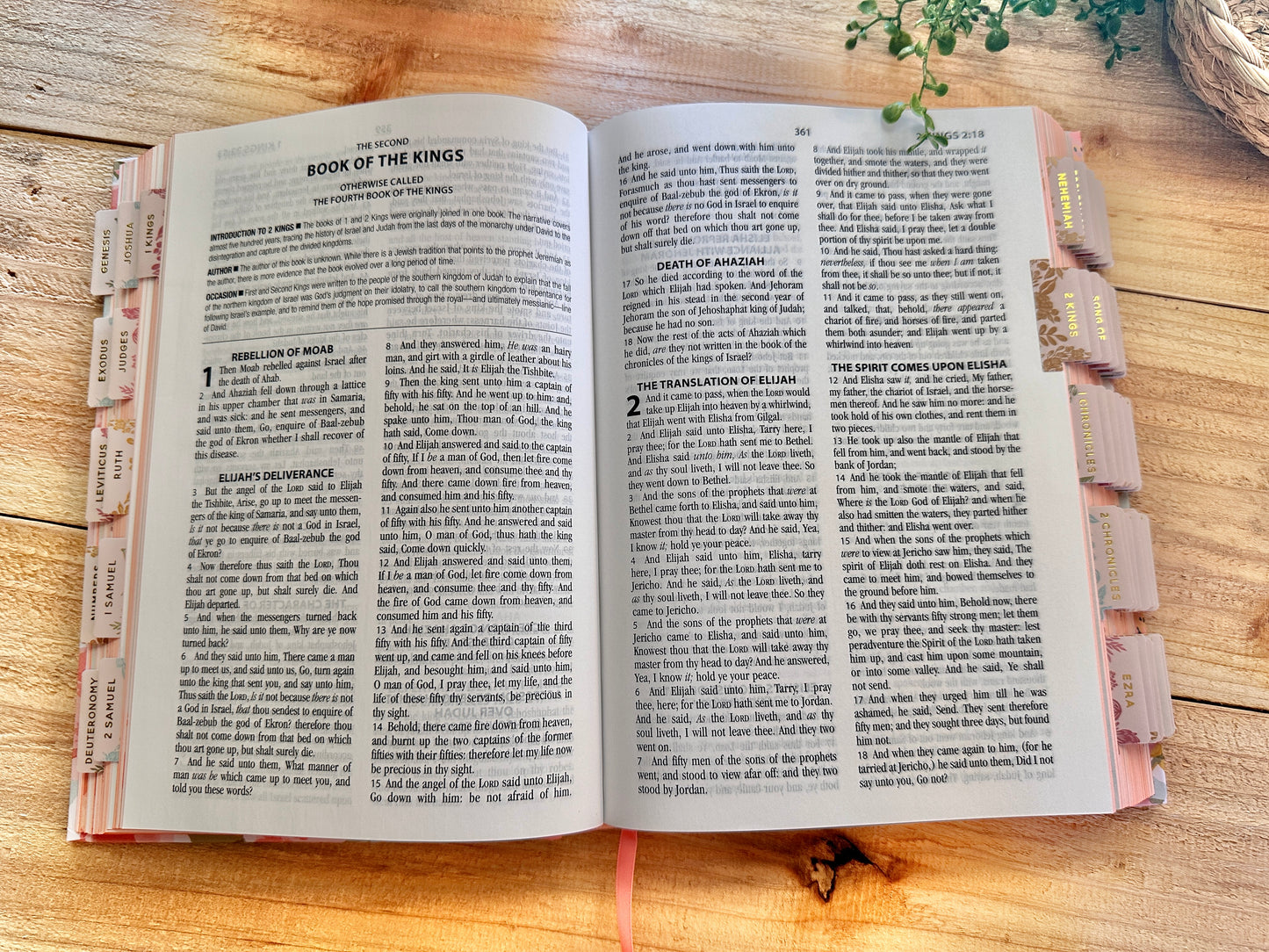KJV 5 Minute Bible Study Edition