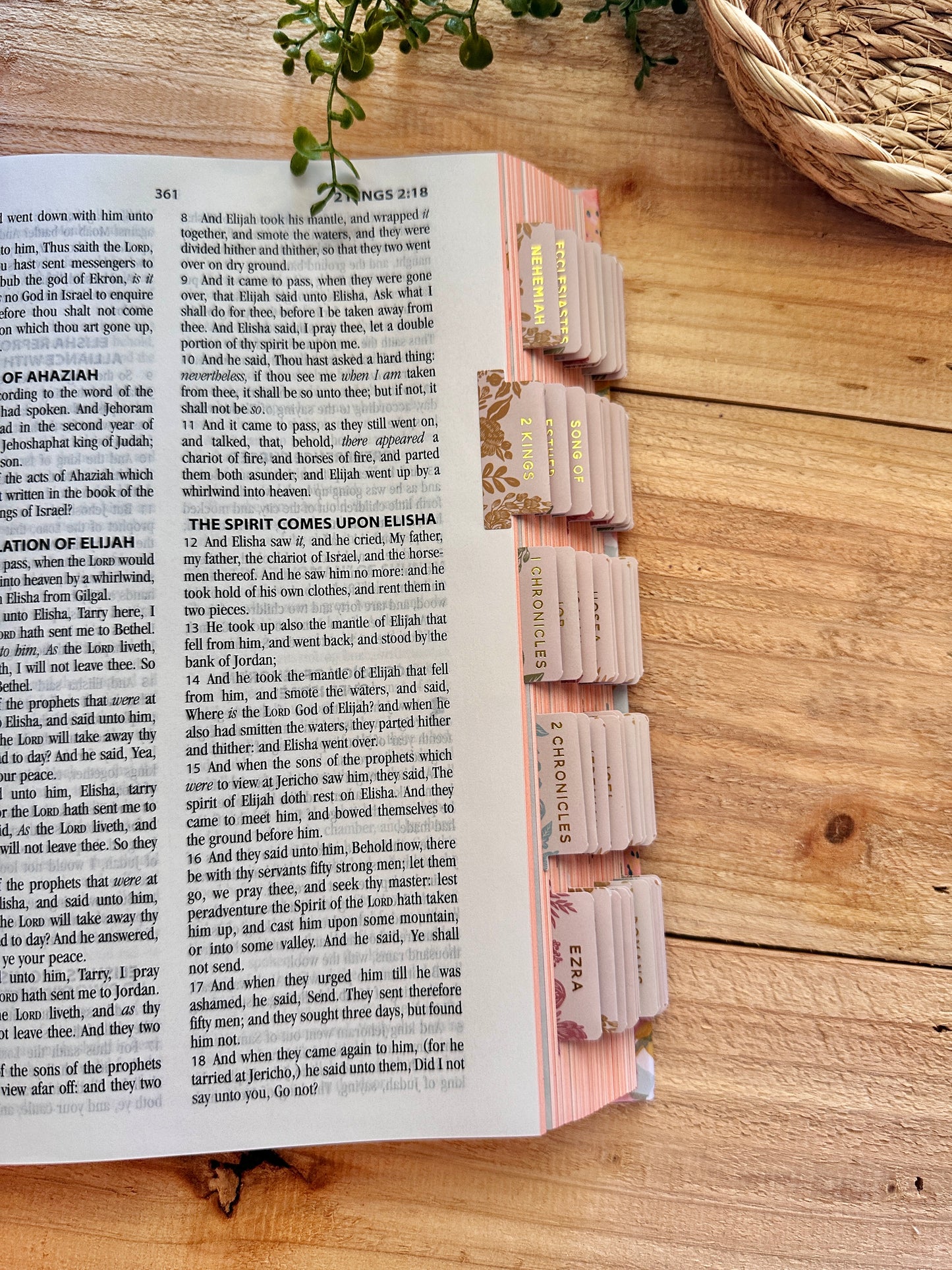 KJV 5 Minute Bible Study Edition