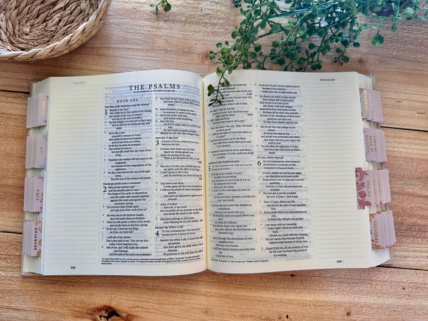 ESV Hosanna Journal Bible- Bouquet