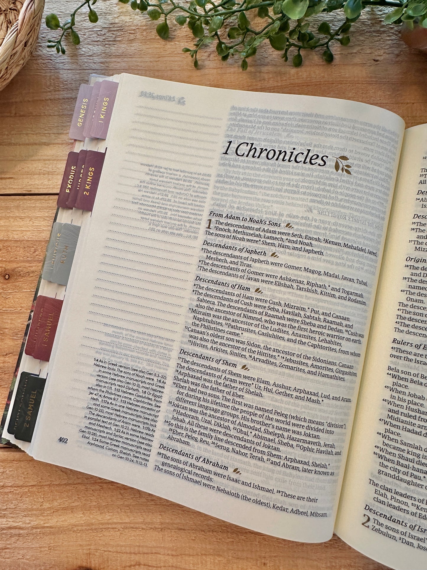 NLT Hosanna Journal Bible- Fields