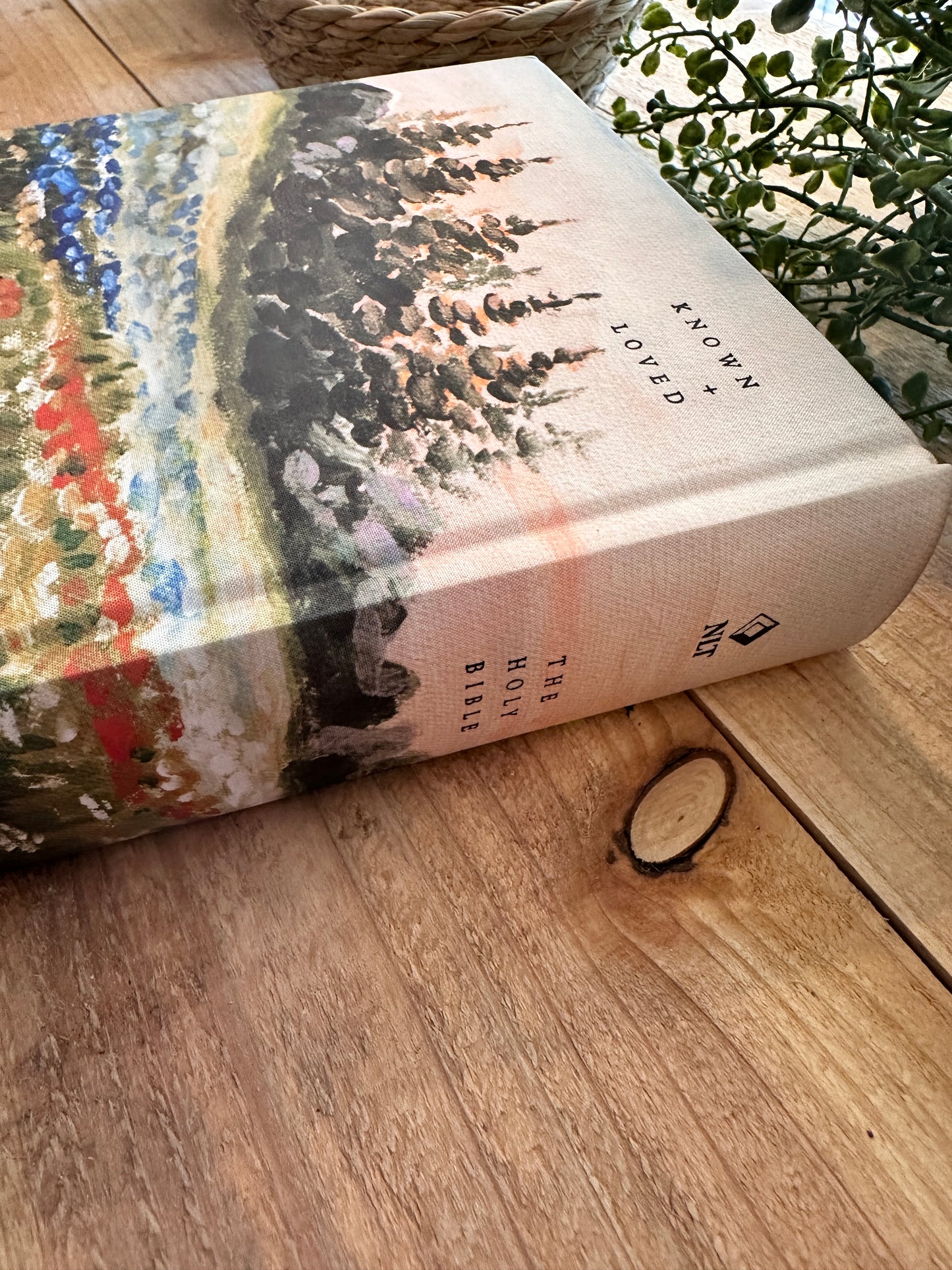 NLT Hosanna Journal Bible- Fields