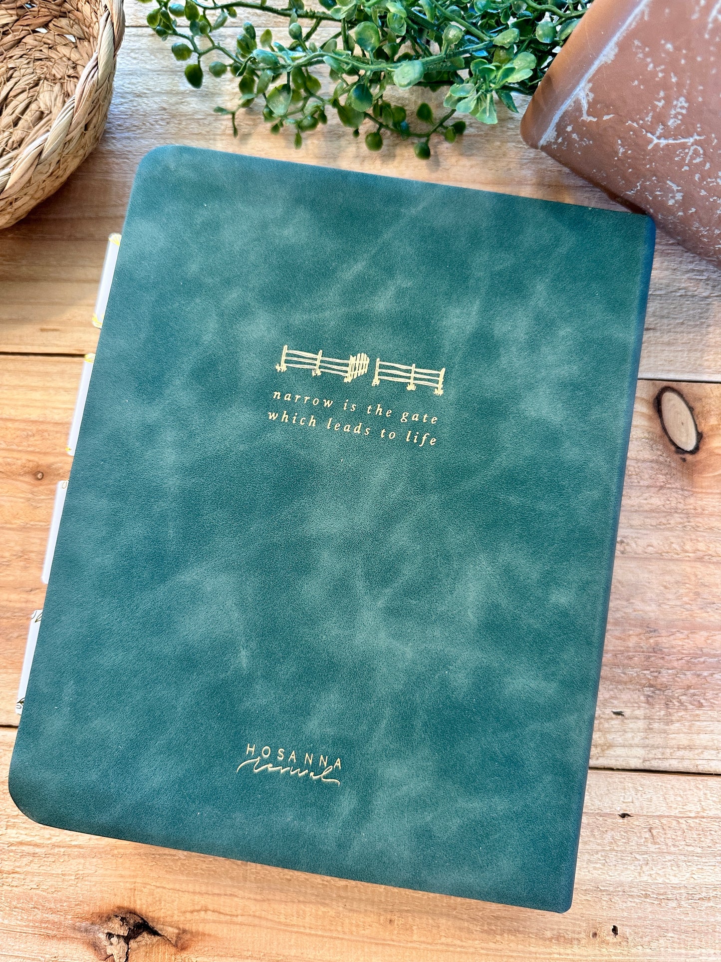 NLT Hosanna Journal Bible- Evergreen