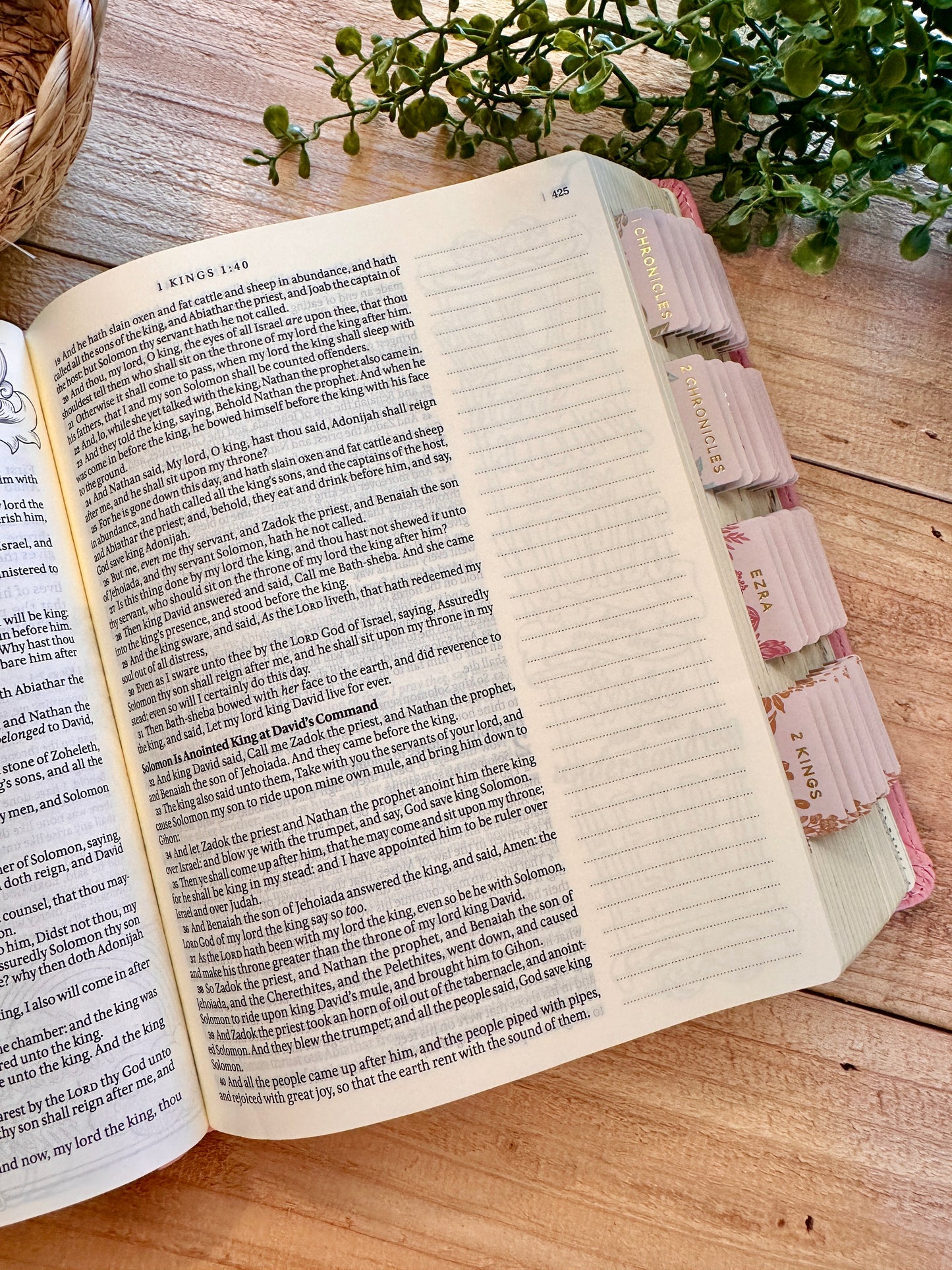KJV Pink Promise Bible