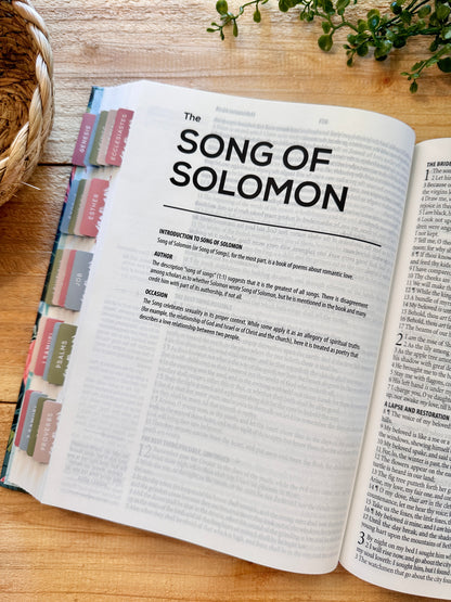 KJV Journal Rain Devotional Bible