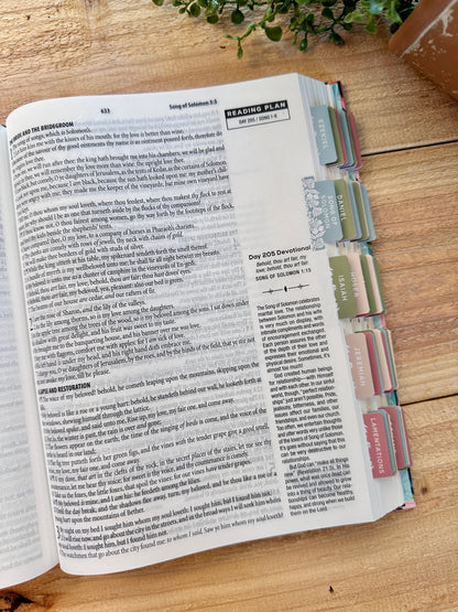 KJV Journal Rain Devotional Bible